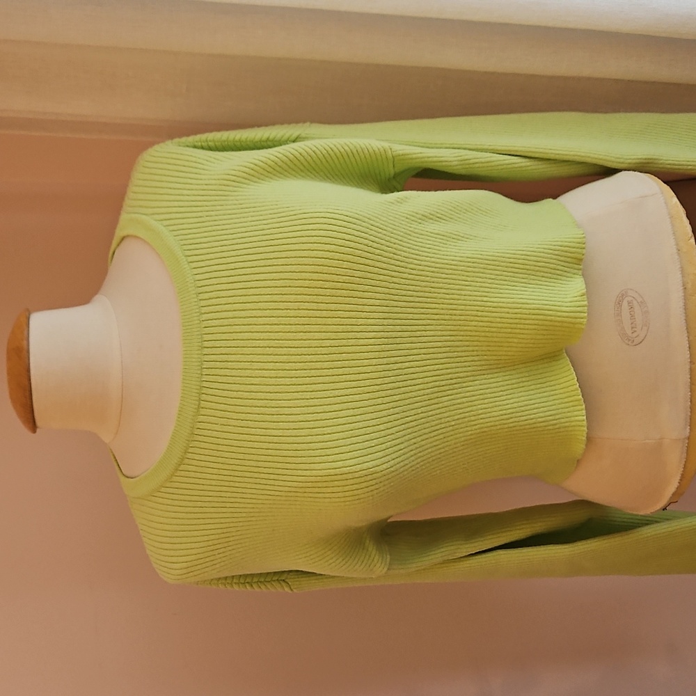 Forever 21 Light Green Ribbed Crop Sweater